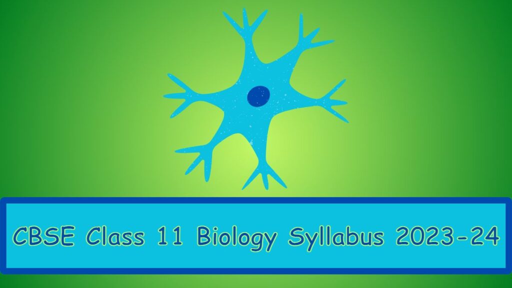 New Ncert Biology Class 11 Pdf 2024
