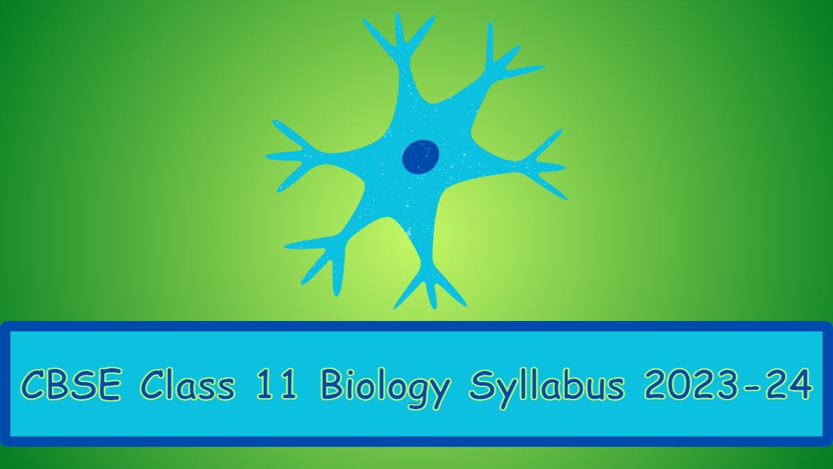 New Ncert Biology Class 11 Pdf 2024